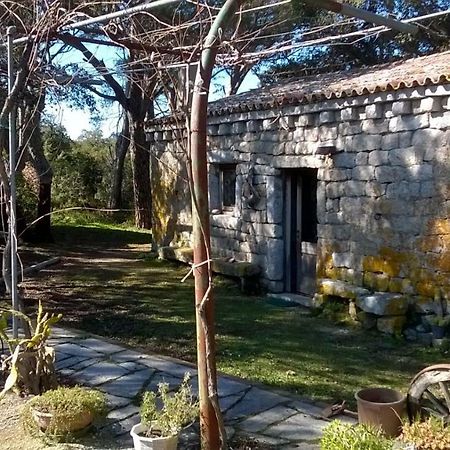 Agriturismo La Vigna Tempio Pausania Dış mekan fotoğraf