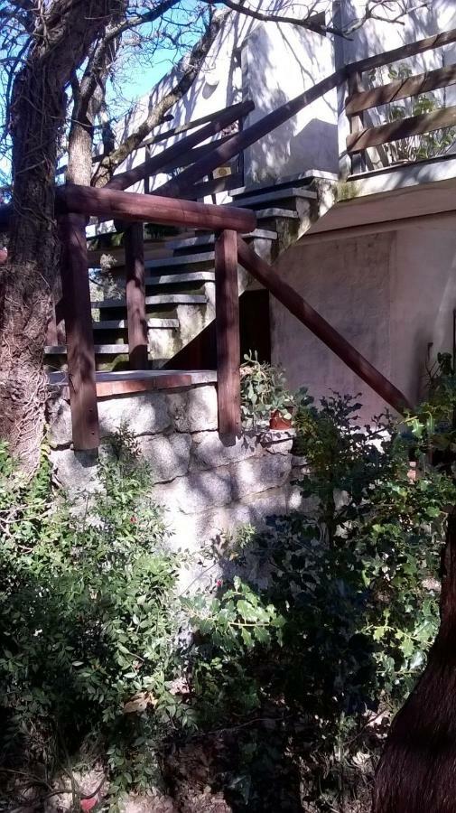 Agriturismo La Vigna Tempio Pausania Dış mekan fotoğraf
