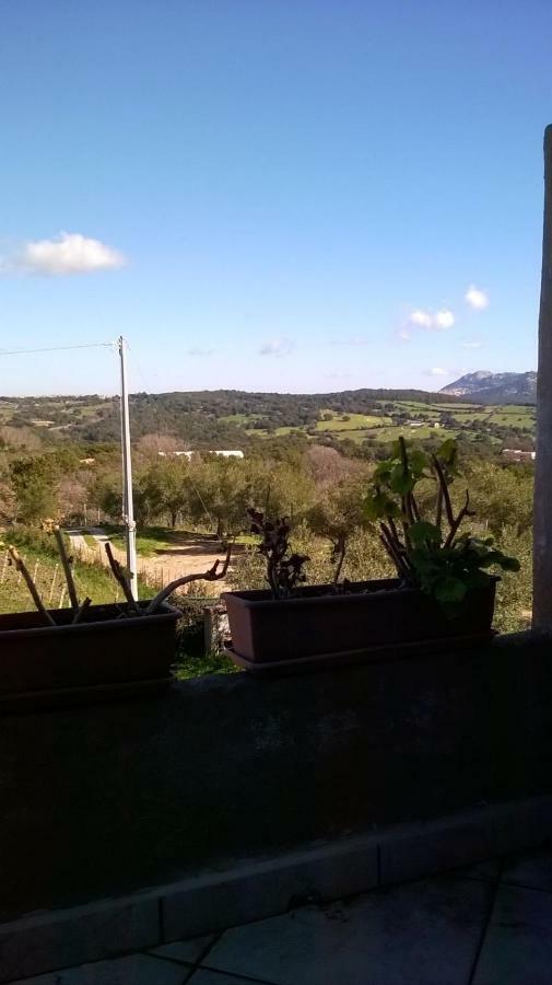 Agriturismo La Vigna Tempio Pausania Dış mekan fotoğraf