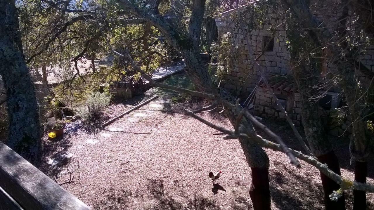 Agriturismo La Vigna Tempio Pausania Dış mekan fotoğraf