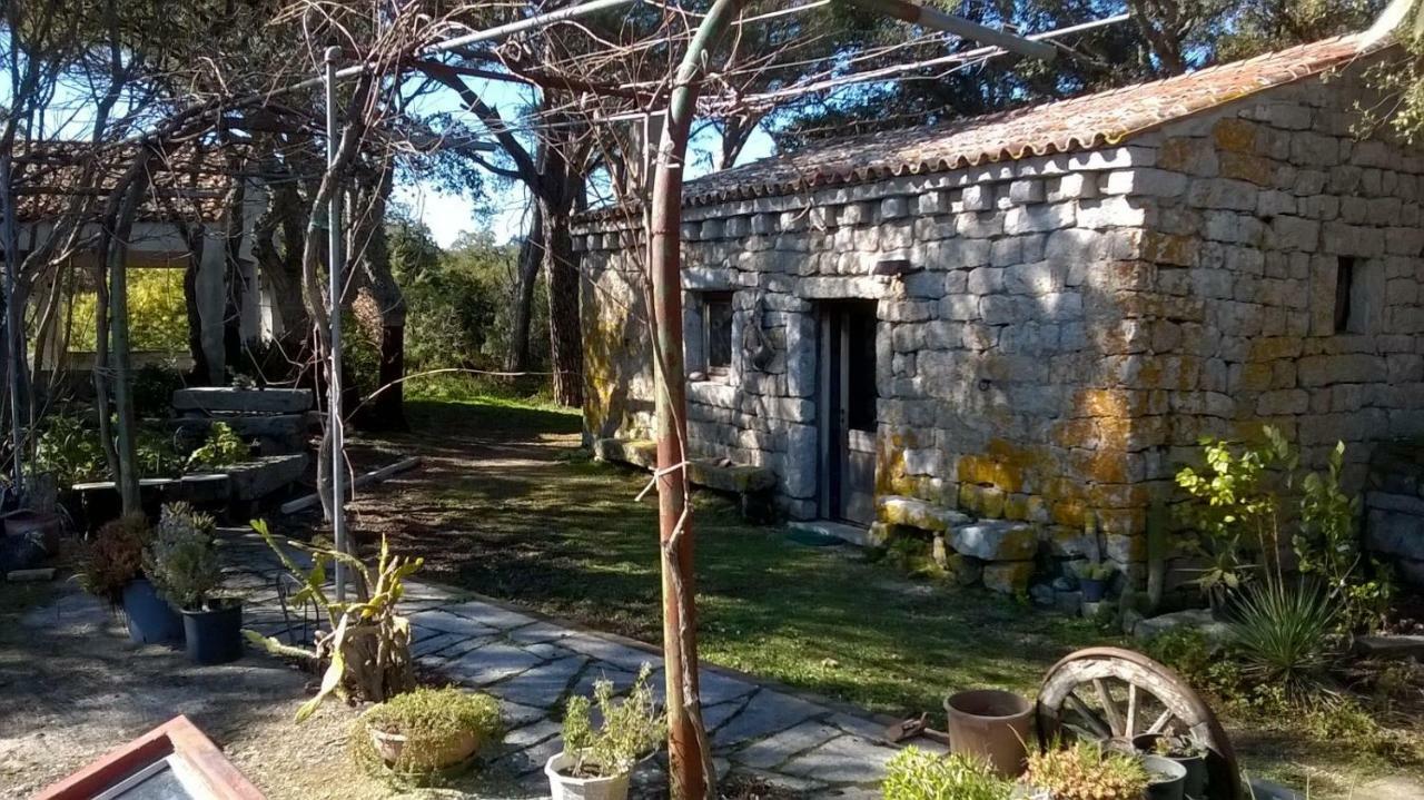 Agriturismo La Vigna Tempio Pausania Dış mekan fotoğraf