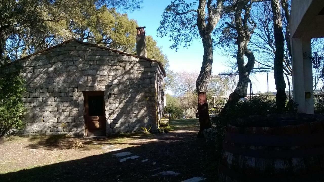 Agriturismo La Vigna Tempio Pausania Dış mekan fotoğraf