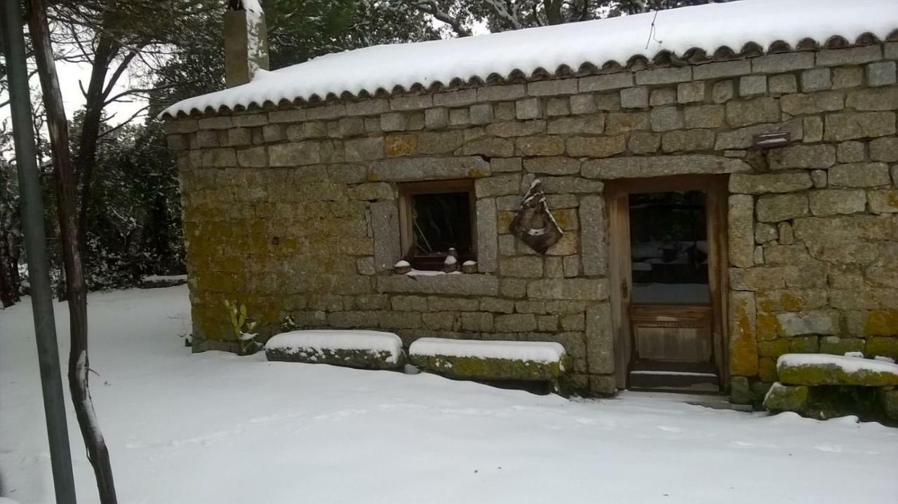 Agriturismo La Vigna Tempio Pausania Dış mekan fotoğraf