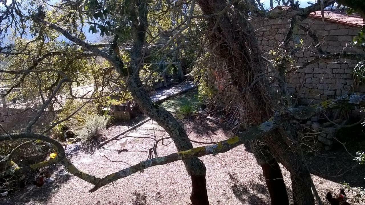 Agriturismo La Vigna Tempio Pausania Dış mekan fotoğraf