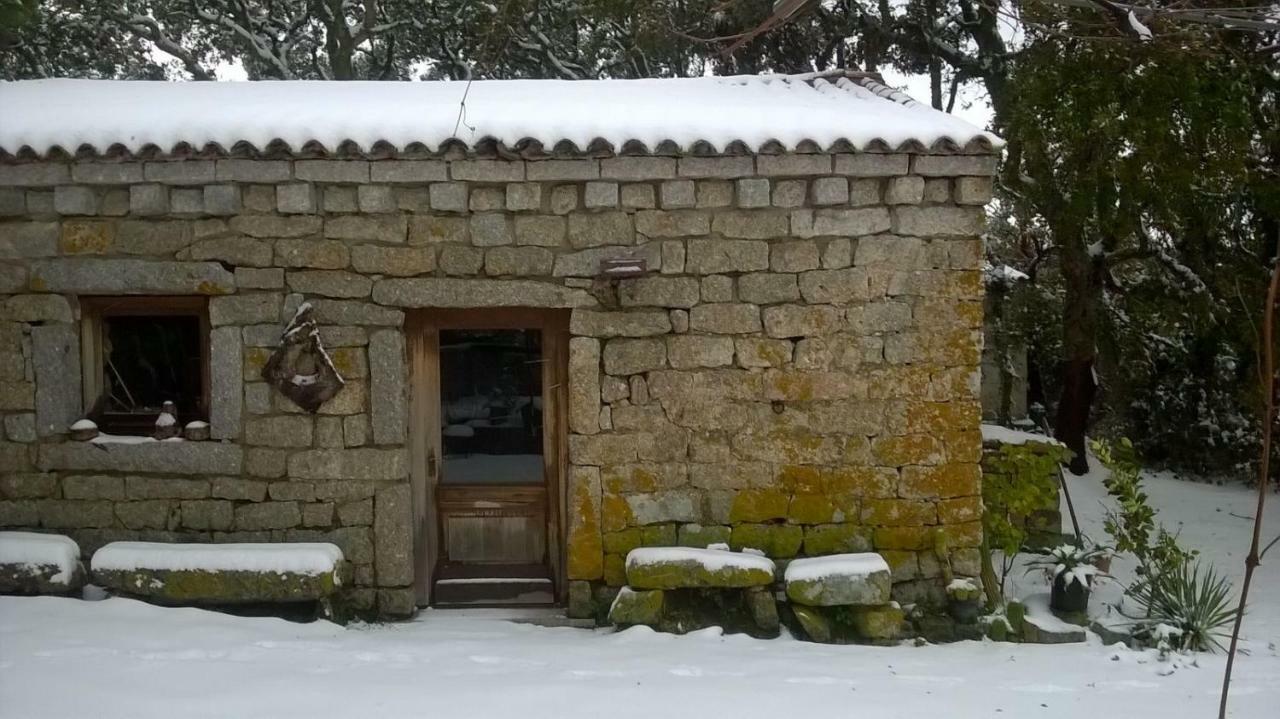 Agriturismo La Vigna Tempio Pausania Dış mekan fotoğraf