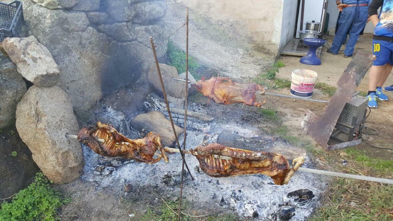 Agriturismo La Vigna Tempio Pausania Dış mekan fotoğraf
