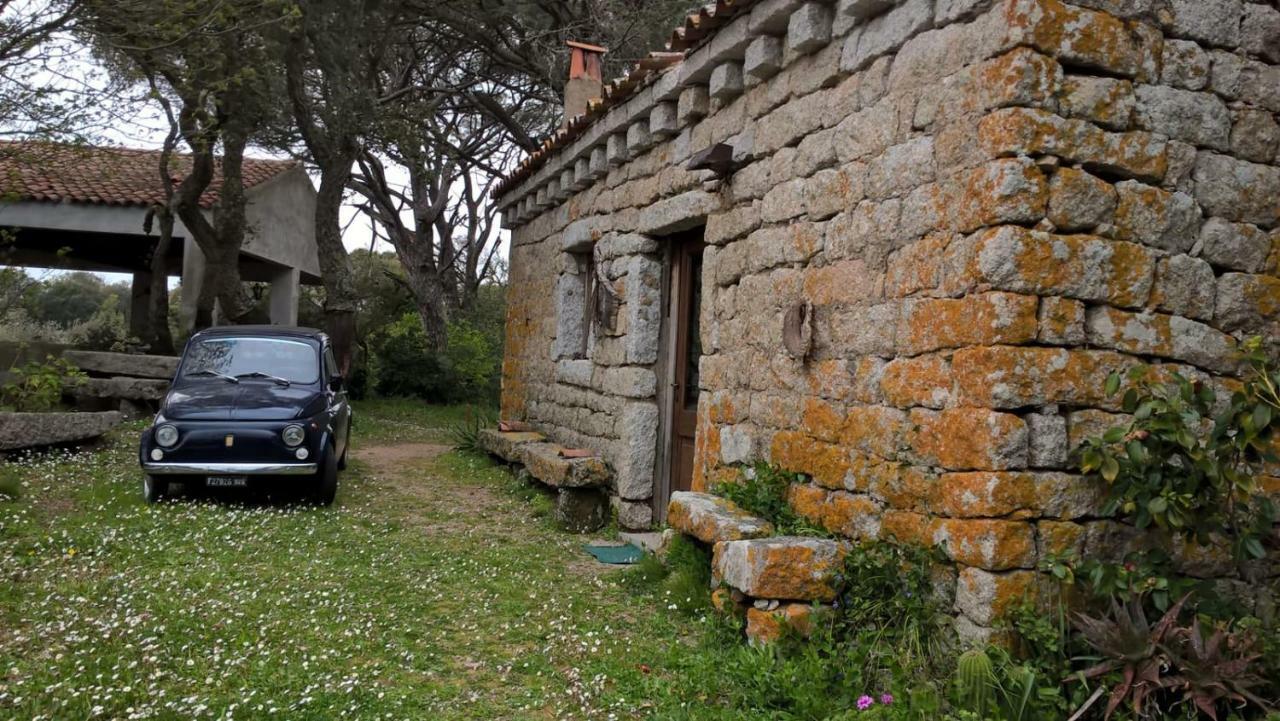 Agriturismo La Vigna Tempio Pausania Dış mekan fotoğraf