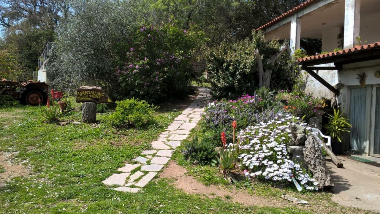 Agriturismo La Vigna Tempio Pausania Dış mekan fotoğraf