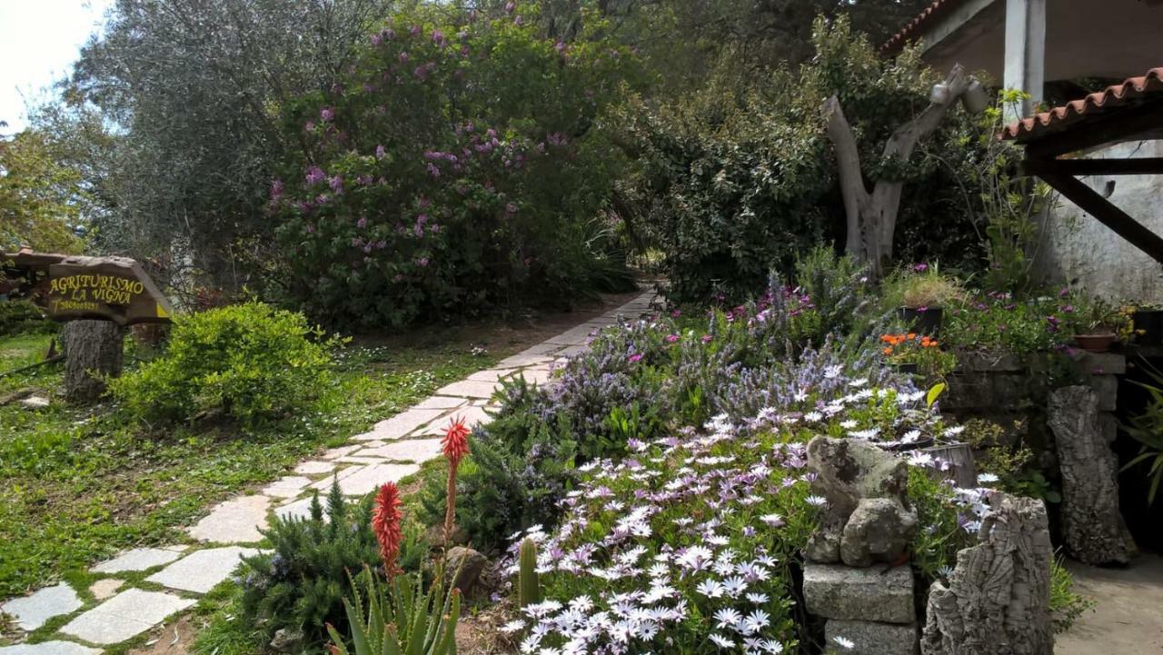 Agriturismo La Vigna Tempio Pausania Dış mekan fotoğraf