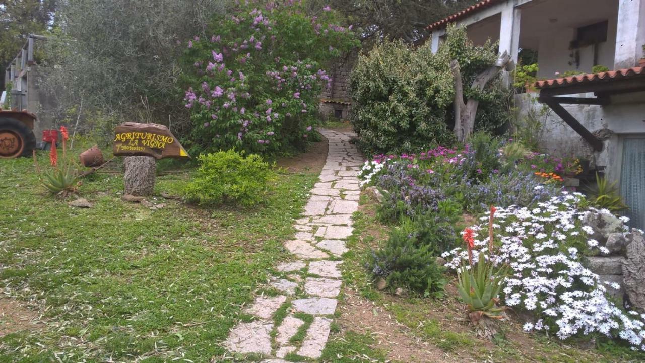 Agriturismo La Vigna Tempio Pausania Dış mekan fotoğraf